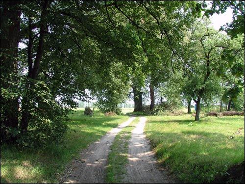 Zdzitava. Landscapes 