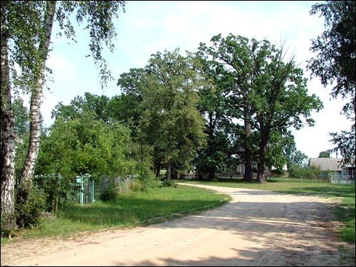 Zdzitava. Landscapes 