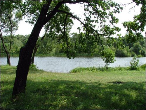 Zdzitava. Landscapes 