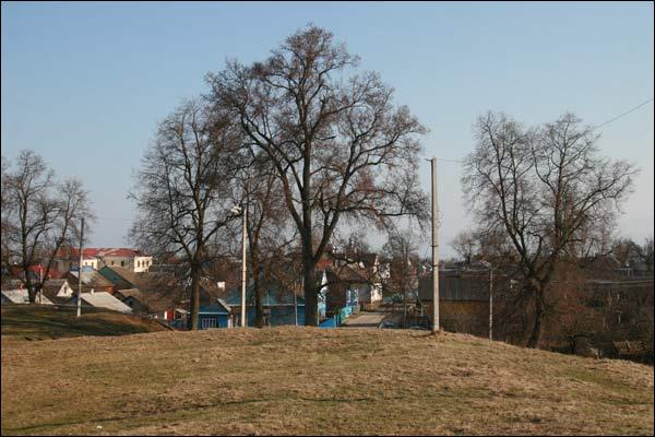  -  .   -   .  04.2010