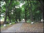 Asarevičy village - Manor park 