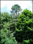 wieś Rohiń - Park dworski wieś Rohiń - Park dworski