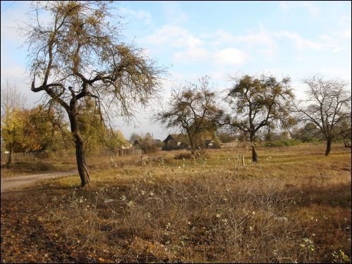 Suchavičy. Landscapes 