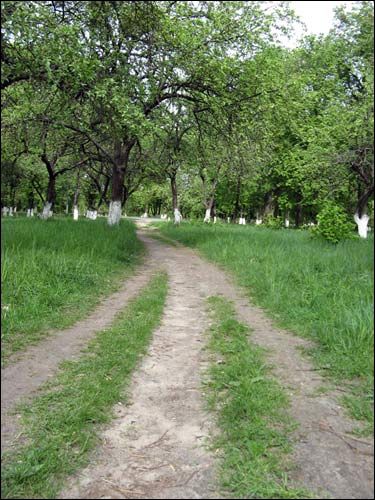 Hołowczyce. Zespół pałacowo-parkowy Horwattów