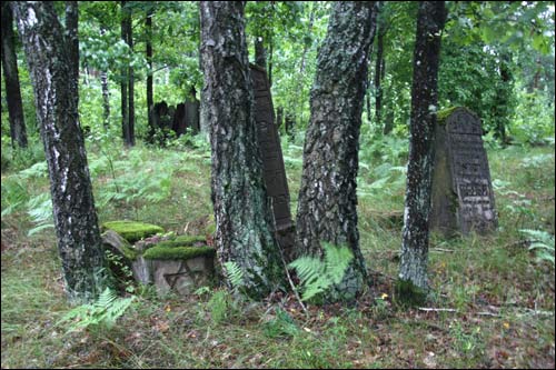Lenina |  cemetery Jewish. 
