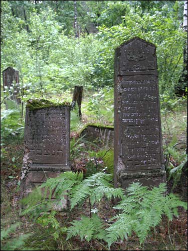 Lenina |  cemetery Jewish. 
