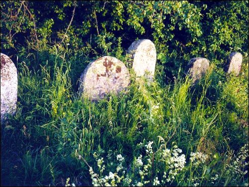 Lipniszki. Cmentarz żydowski