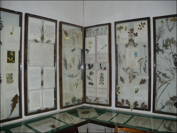 Hudzievičy.  Museum