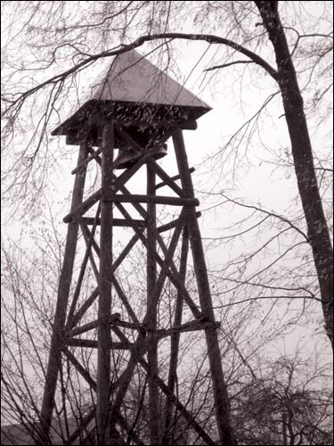 Daniušava. Catholic church of the Holy Trinity