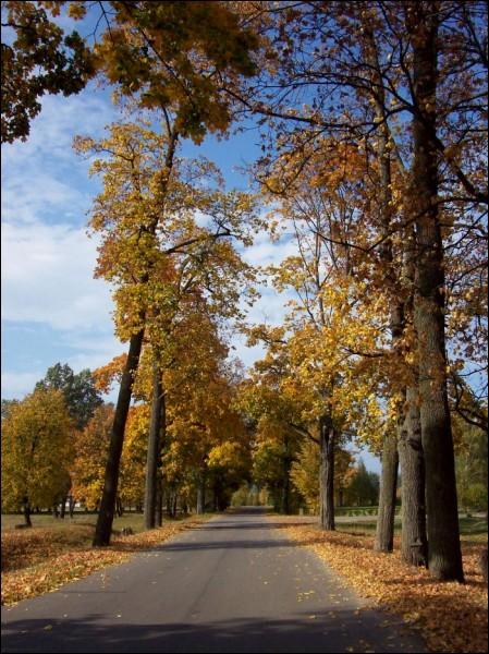 Zalesie. Zespół pałacowo-parkowy Ogińskich