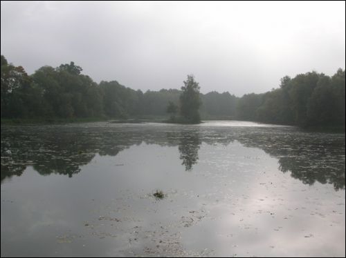 Zalesie. Zespół pałacowo-parkowy Ogińskich