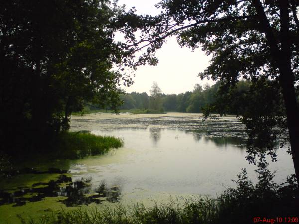 Zalesie. Zespół pałacowo-parkowy Ogińskich