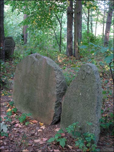 Zalessie. cemetery Old Catholic