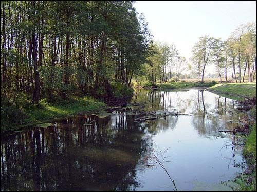 Hniezna. Manor 