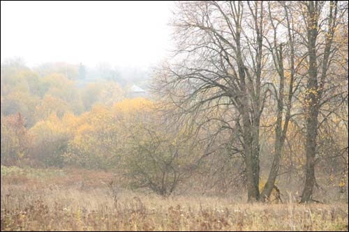  - Landscapes . 