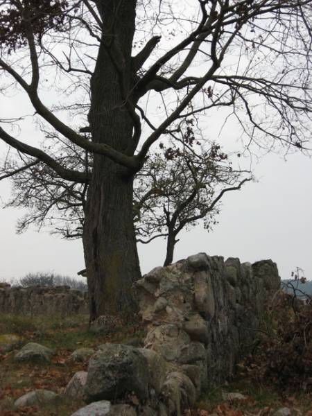 Івашкавічы.  Каменныя магілы