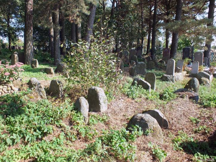 Iŭie. cemetery Tartarian