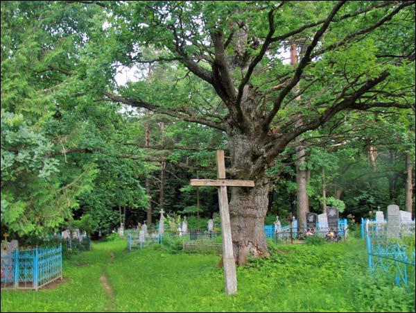 Varonča. cemetery Old Catholic