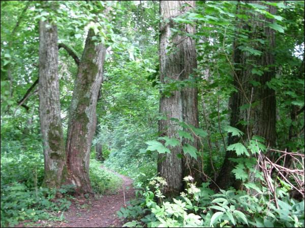  - Гаспадарчы двор Гюнтэраў. У парку