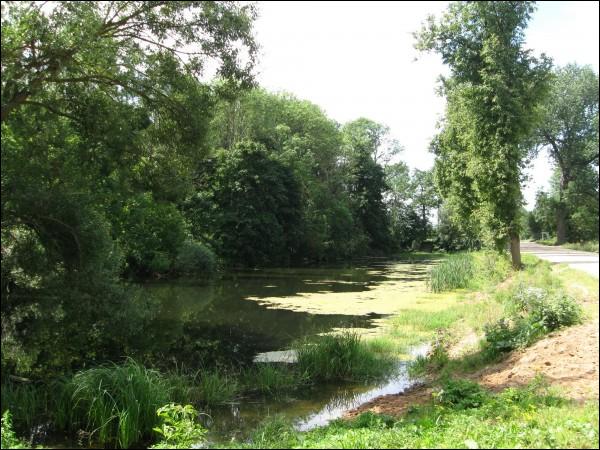  - Гаспадарчы двор Гюнтэраў. Сажалка ў парку