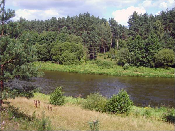 Дубок. Краявіды 