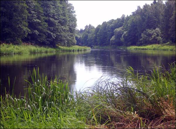 Дубок. Краявіды 