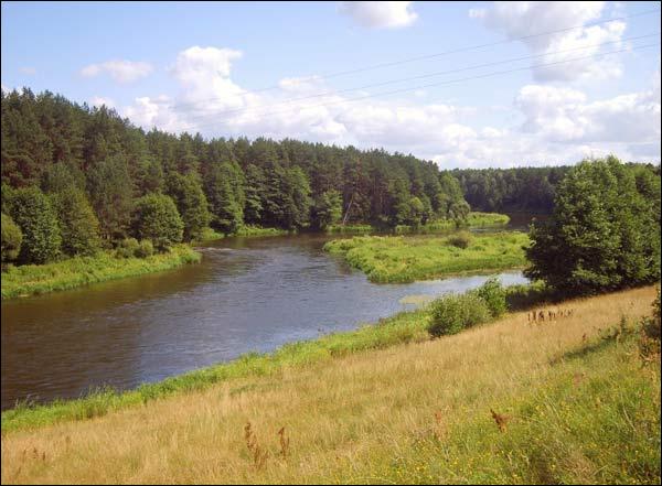 Дубок. Краявіды 