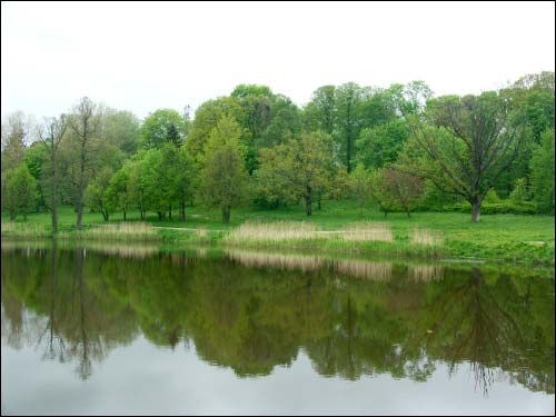 Mir. Manor park 