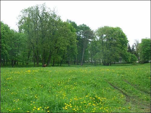 Mir. Manor park 