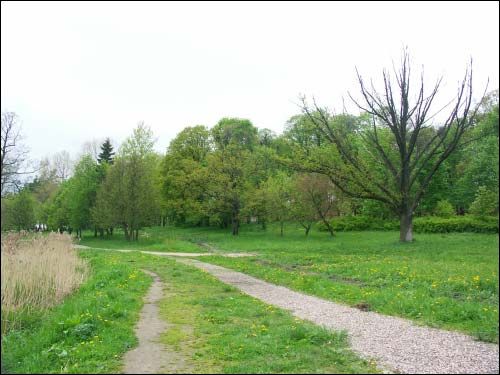 Mir. Manor park 