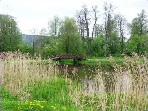 Mir. Manor park 