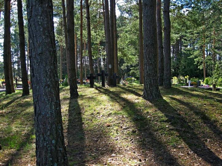  - Soldierly (WWI) Cemetery . 