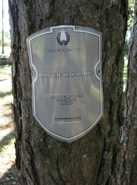  - Soldierly (WWI) Cemetery . 