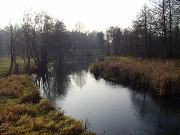  - Krajobrazy . Widok na Gawię z mostu e kierunku dawnego szpitala - sanatorium