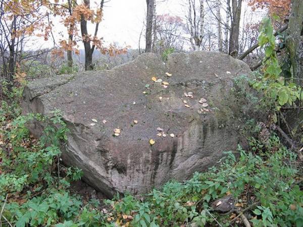  - Krajobrazy . Głaz narzutowy na kolonii sobotnickiej nad Matruną.