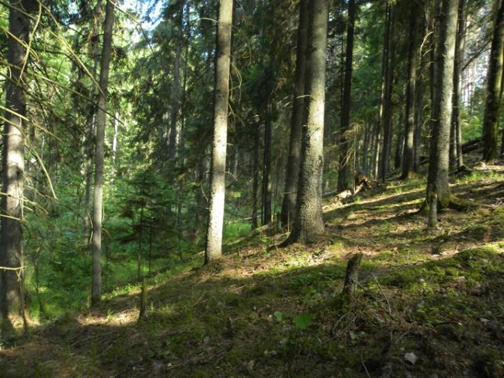 Hutka. Dwór Pusłowskich