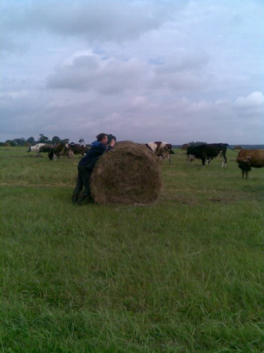  - В деревне . 