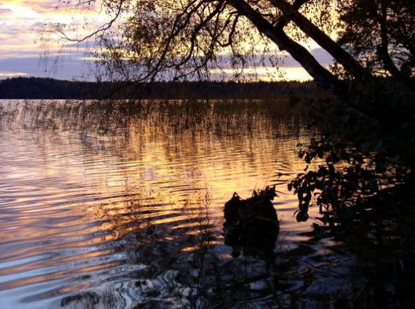  - Landscapes . 