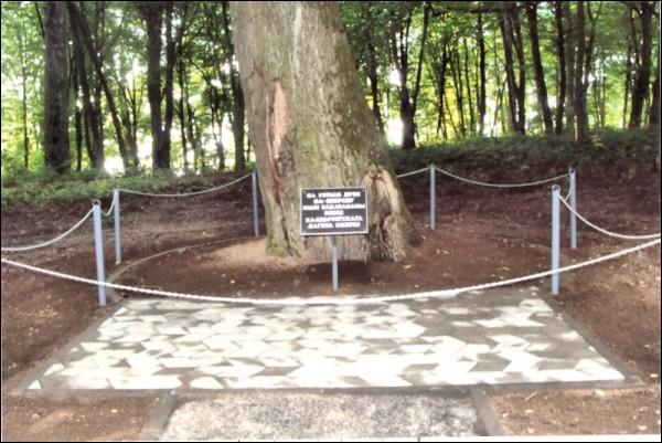  -  The place of Koldyczewo concentration camp. 