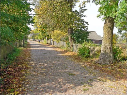 Borki. Landscapes 