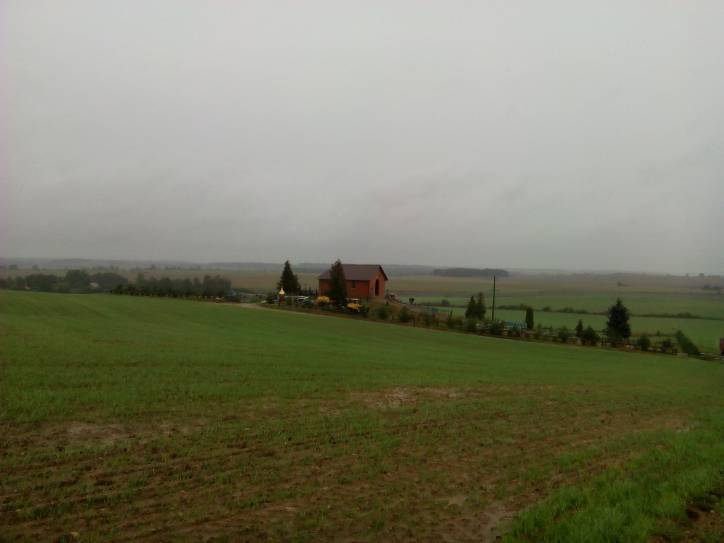  - Краявіды . 
