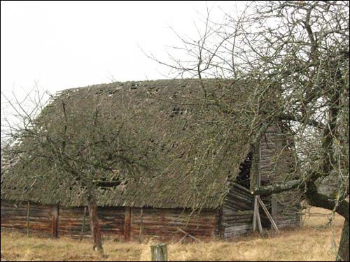 Daniušava. Landscapes 