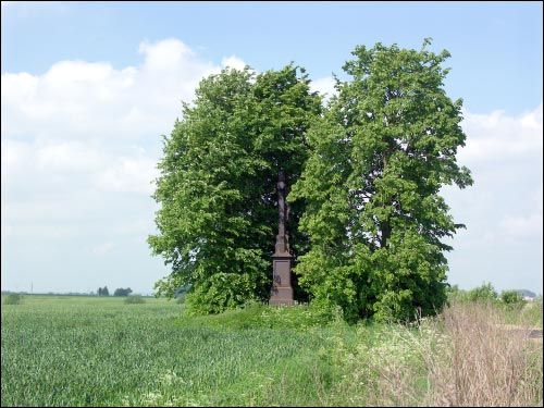 Zagórze Siennieńskie.  Grób Pusłowskich