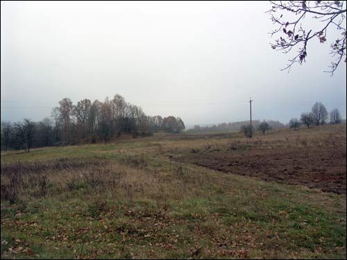  - Краявіды . 