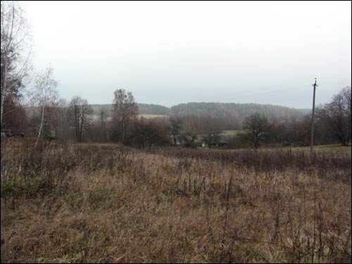  - Краявіды . 