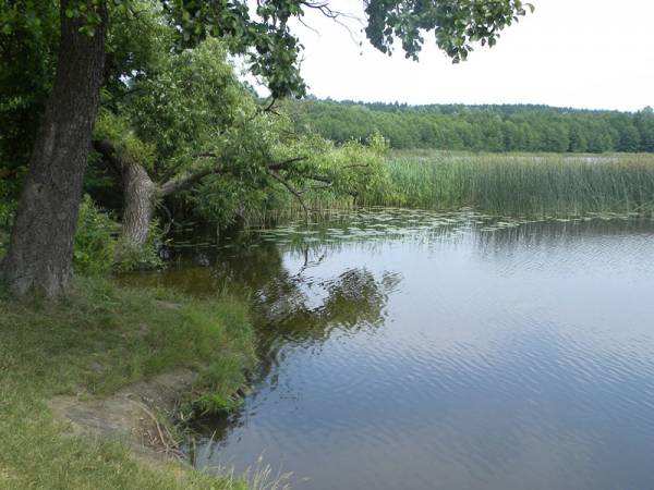 Albertyn (Słonim). Krajobrazy 