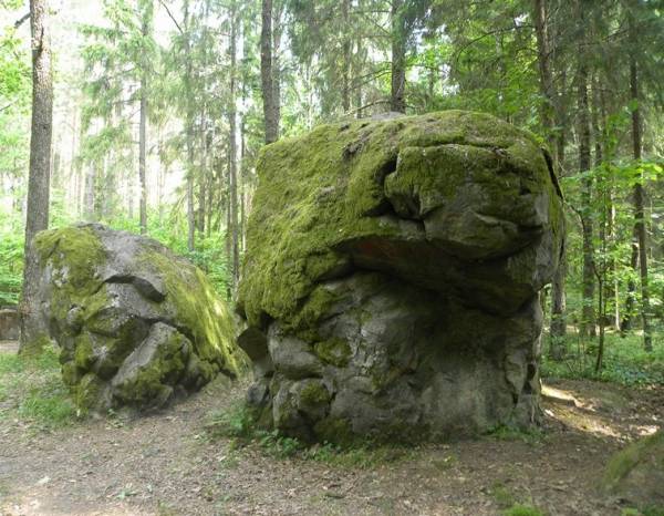 Albertyn (Słonim). Krajobrazy 