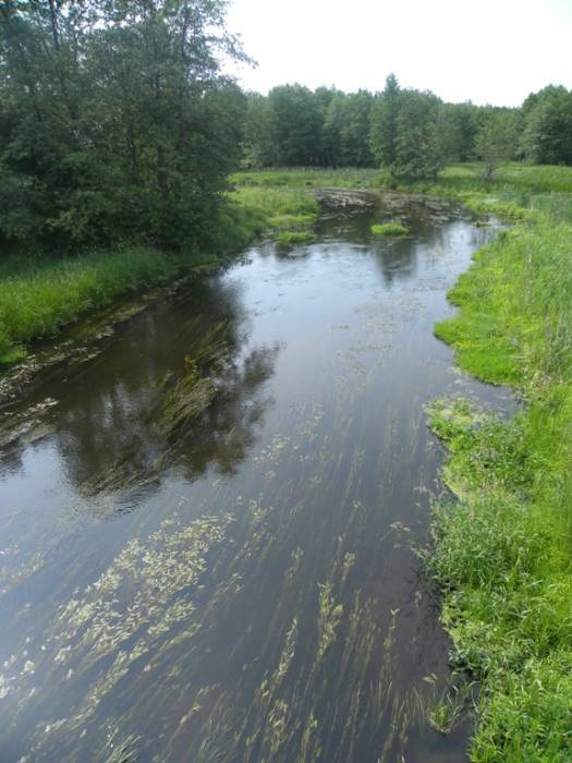 Albertyn (Słonim). Krajobrazy 