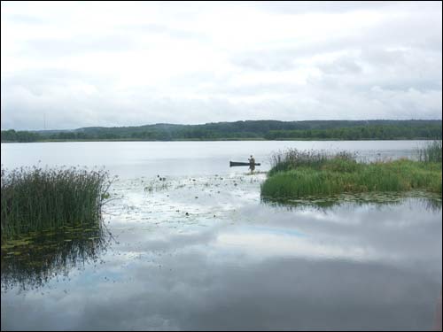 Albertyn (Słonim). Krajobrazy 