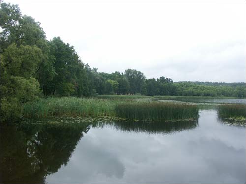 Albertyn (Słonim). Krajobrazy 